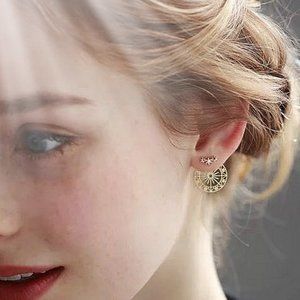Elegant earrings